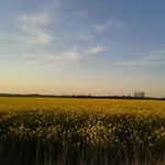 Im Gruenen - Hof Blohme