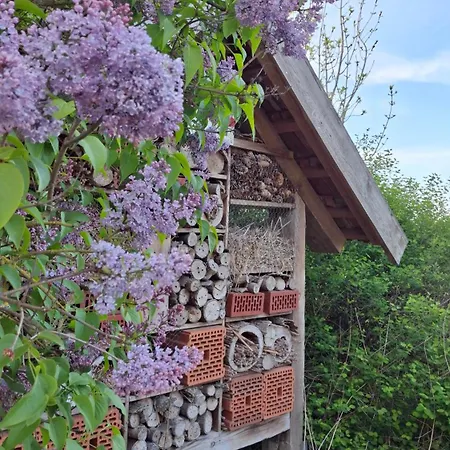 Apartment Im Grünen - Hof Blohme *