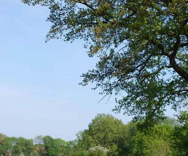 Im Gruenen - Hof Blohme Langwedel