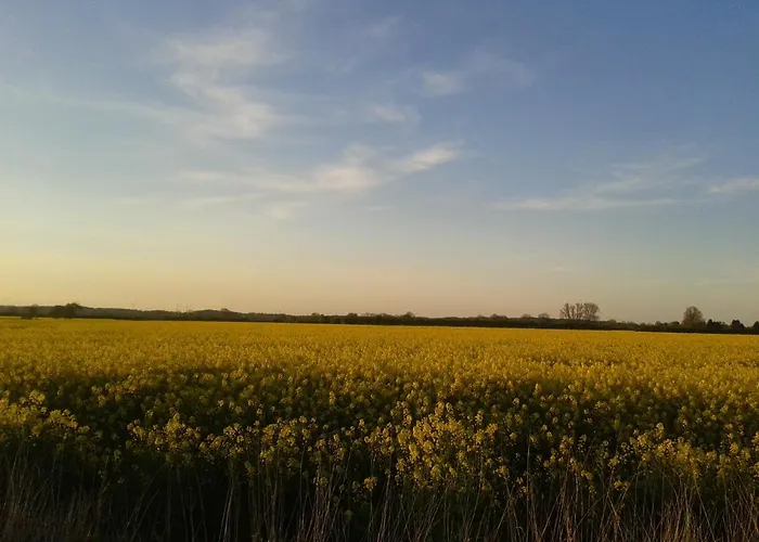 Im Gruenen - Hof Blohme