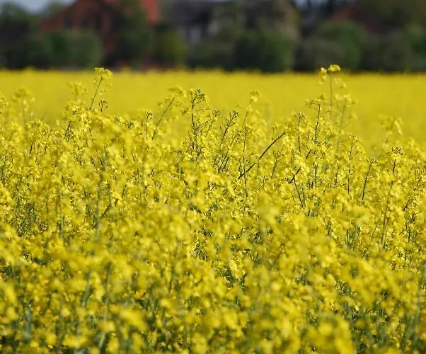 Im Gruenen - Hof Blohme Langwedel
